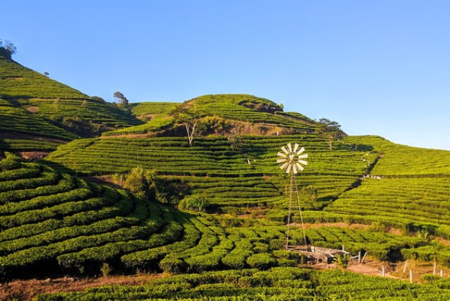 Off Beat Kerala – (05 nights / 06 days)