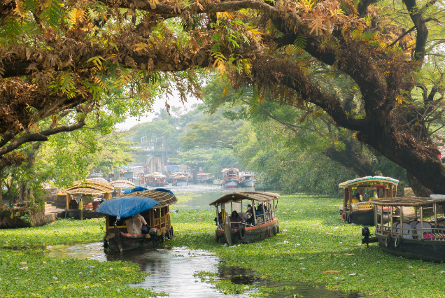 Exotic Kerala – (06 nights / 07 days)