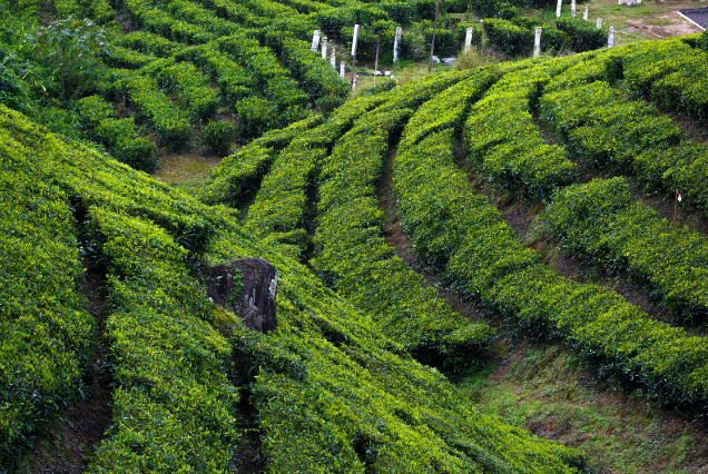 4 Days 3 Nights Manali Itinerary from Delhi via Volvo Bus