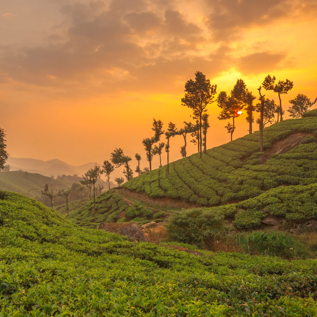 Kerala